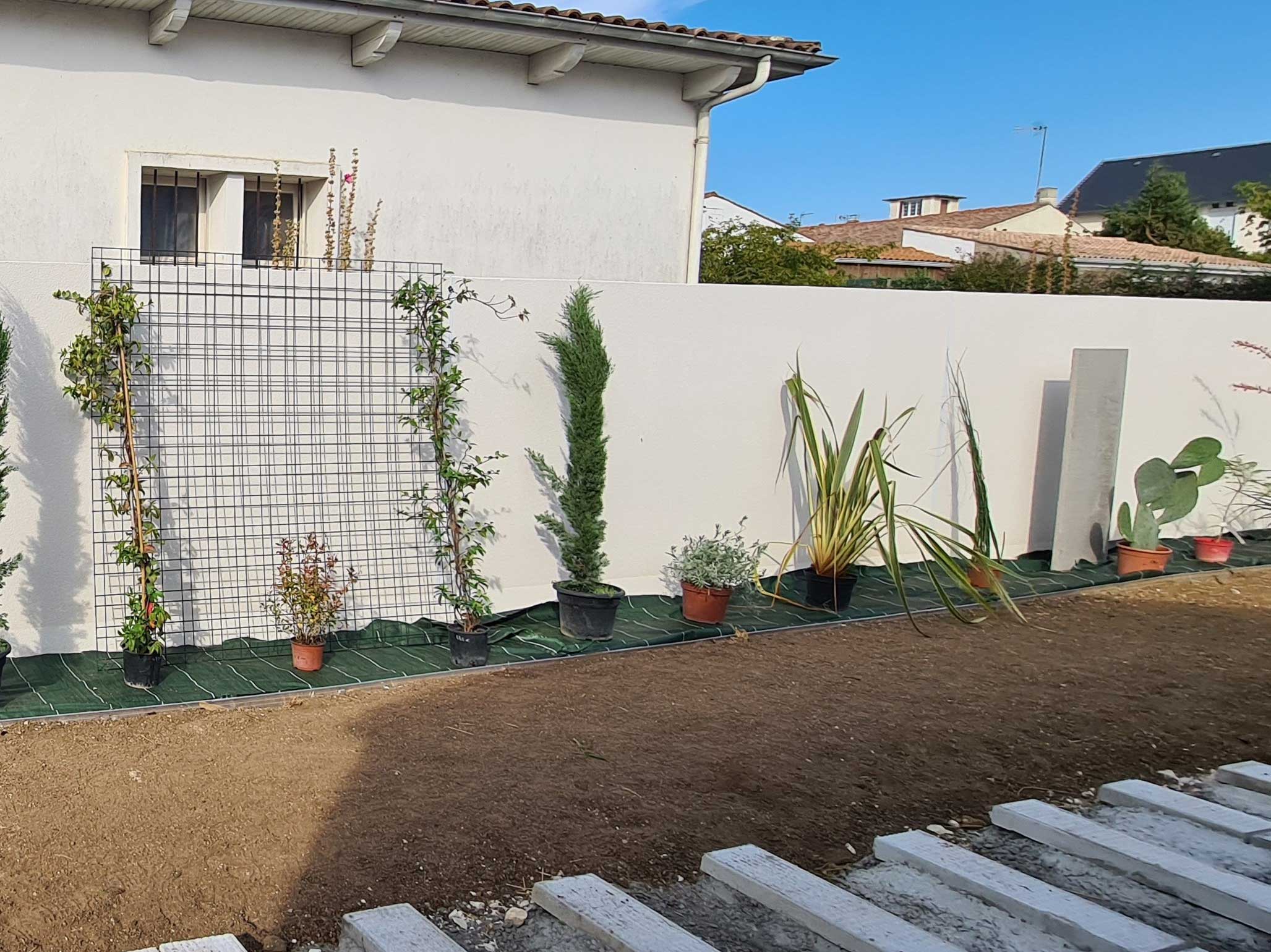 AVANT