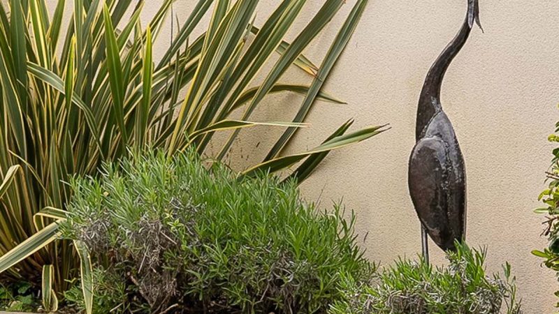 jardin1-05